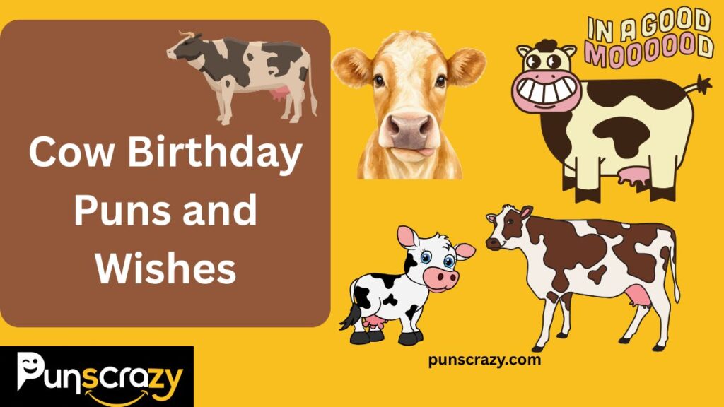 Cow Birthday Puns and Wishes