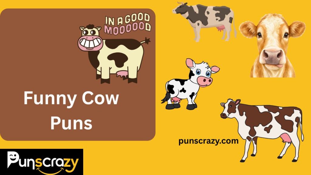 Funny Cow Puns