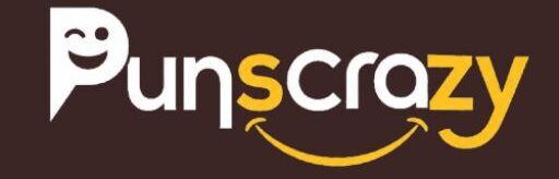 Punscrazy.com