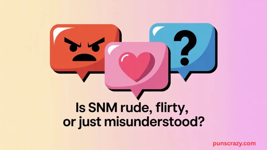 Is SNM Rude, Flirty, or Just Misunderstood?
