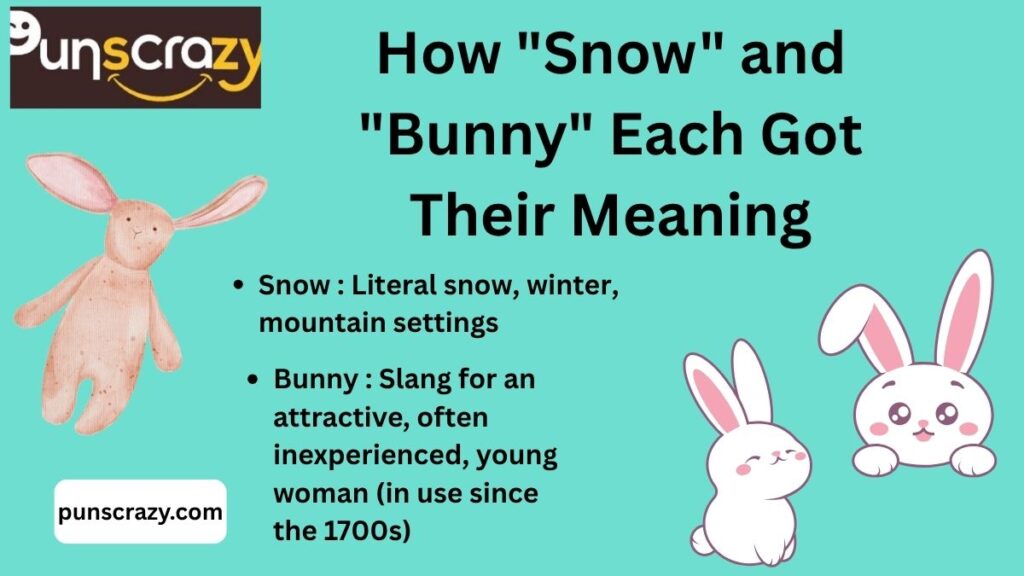 How "Snow" and "Bunny" Each Got Their Meaning