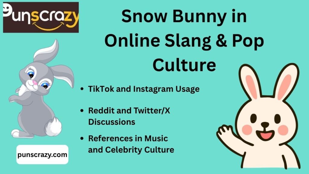 Snow Bunny in Online Slang & Pop Culture