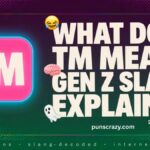 TM Meaning in Text: Viral Gen Z Slang Explained (2026 Guide You Can Actually Understand)