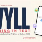WYLL Meaning in Text