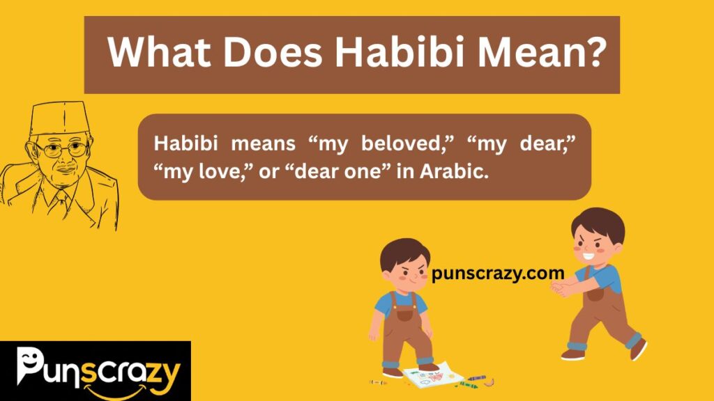 What Does Habibi Mean?