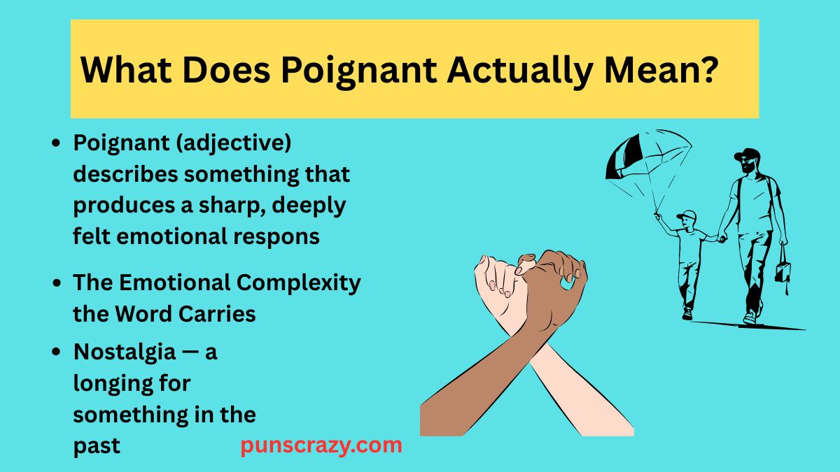 What Does Poignant Actually Mean?