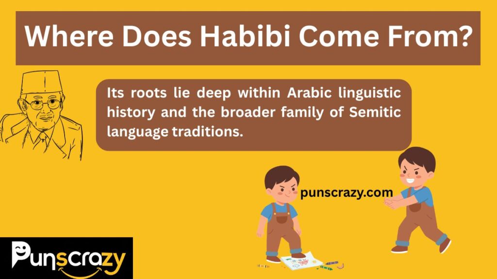 Where Does Habibi Come From?
