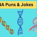 DNA Puns & Jokes