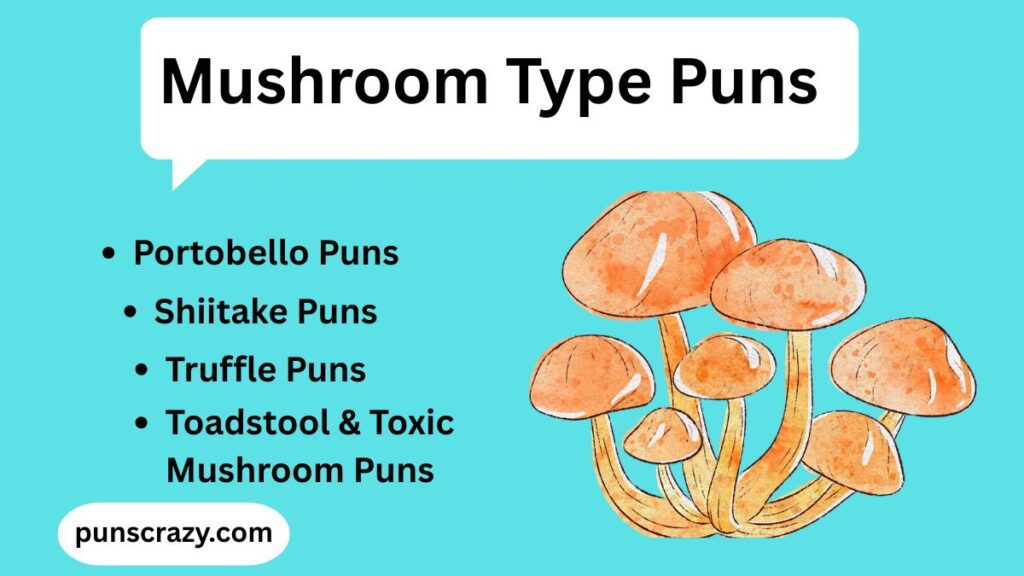 Mushroom Type Puns