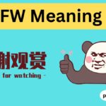 SFW Meaning