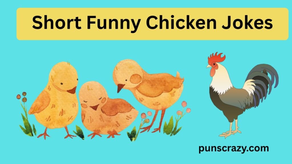 Short Funny Chicken Jokes