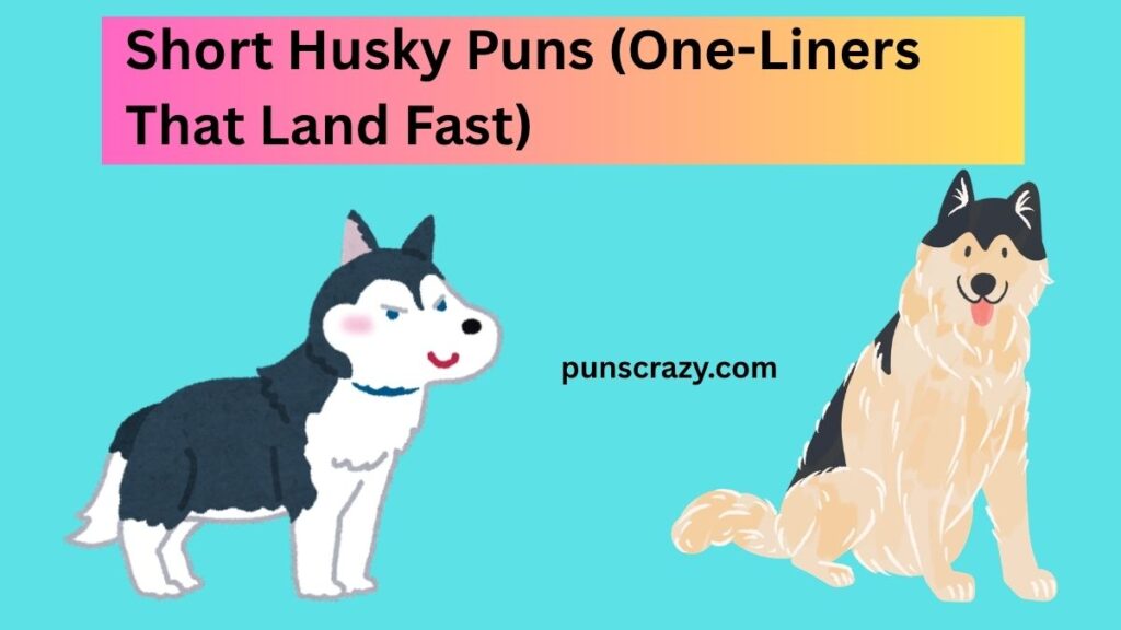 Short Husky Puns (One-Liners That Land Fast)