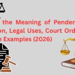What Is the Meaning of Pendente Lite? Definition, Legal Uses, Court Orders, and Real-Life Examples (2026)