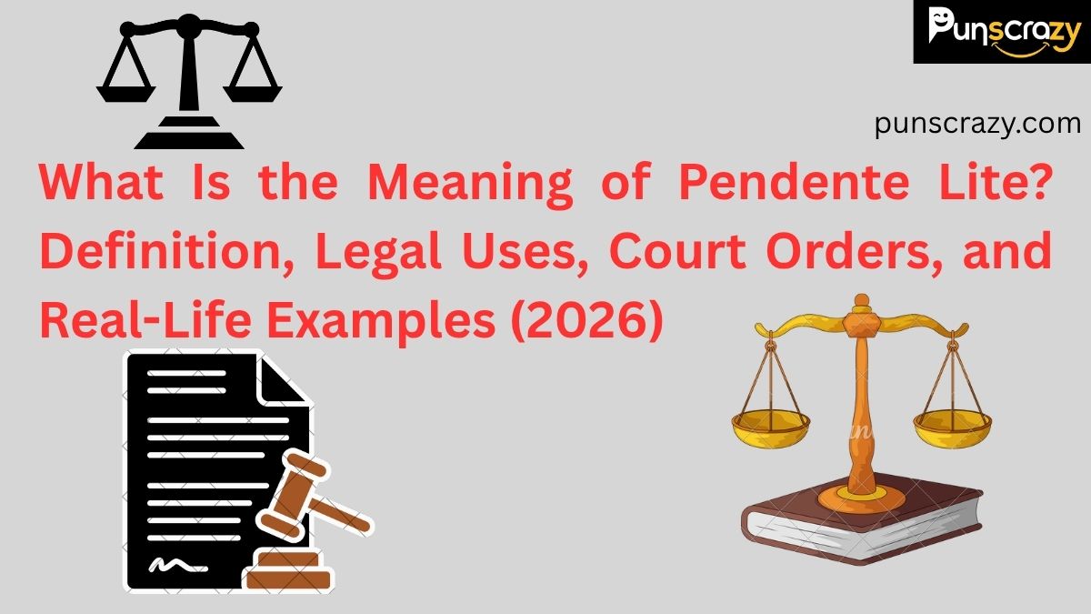 What Is the Meaning of Pendente Lite? Definition, Legal Uses, Court Orders, and Real-Life Examples (2026)