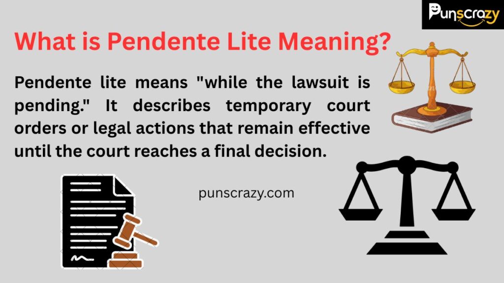 What is Pendente Lite Meaning?