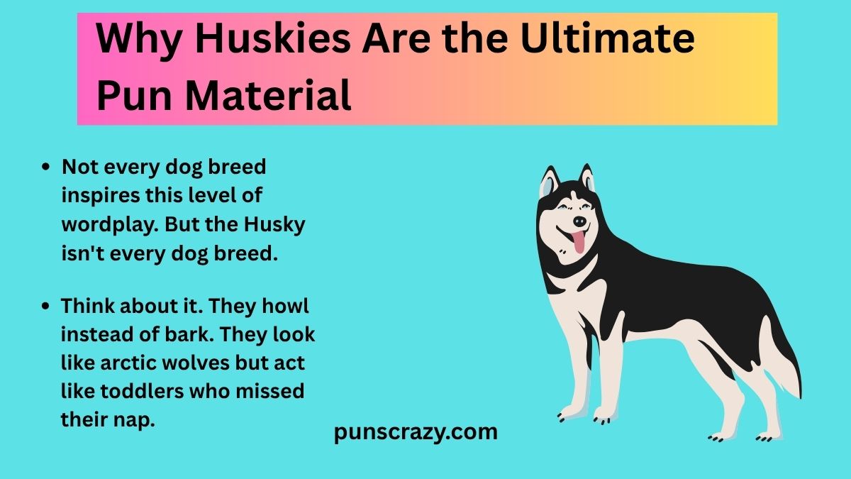 Why Huskies Are the Ultimate Pun Material