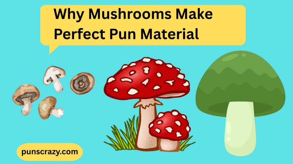 Why Mushrooms Make Perfect Pun Material