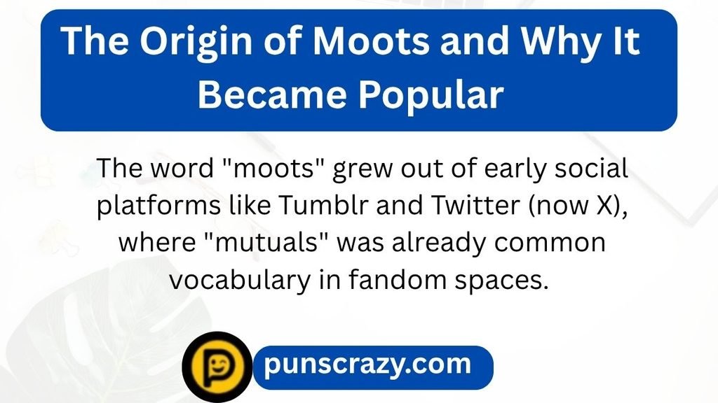 The Origin of Moots and Why It Became Popular