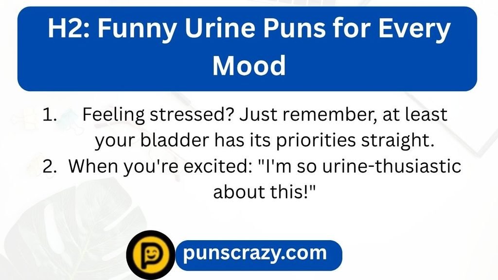 H2: Funny Urine Puns for Every Mood
