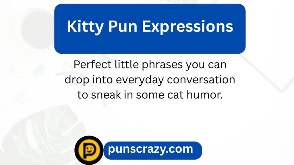 Kitty Pun Expressions