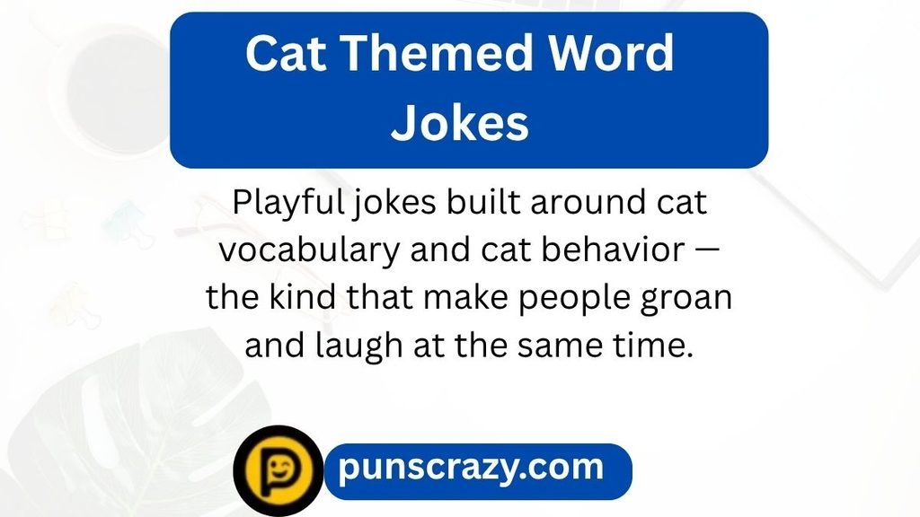 Cat Themed Word Jokes