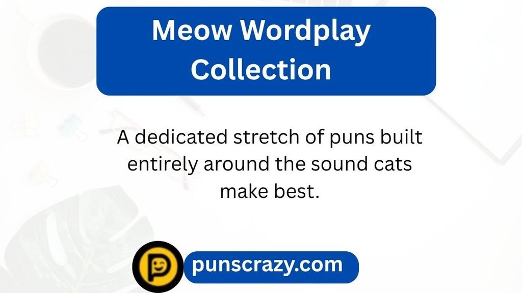 Meow Wordplay Collection