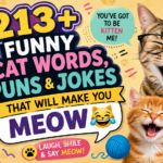 213+ Funny Cat Words, Puns & Jokes That Will Make You Meow 😂