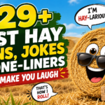 329+ Best Hay Puns, Jokes & One-Liners to Make You Laugh