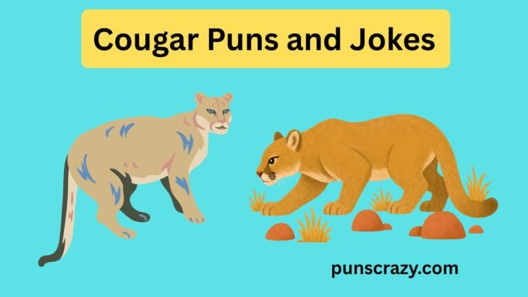 Cougar Puns and Jokes