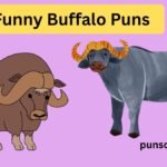 Funny Buffalo Puns