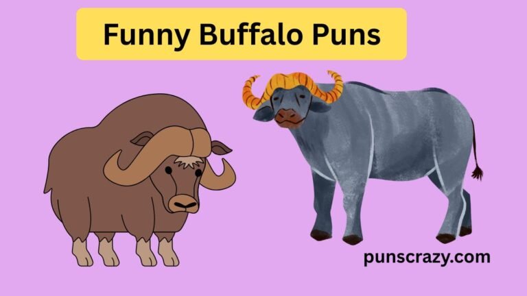Funny Buffalo Puns