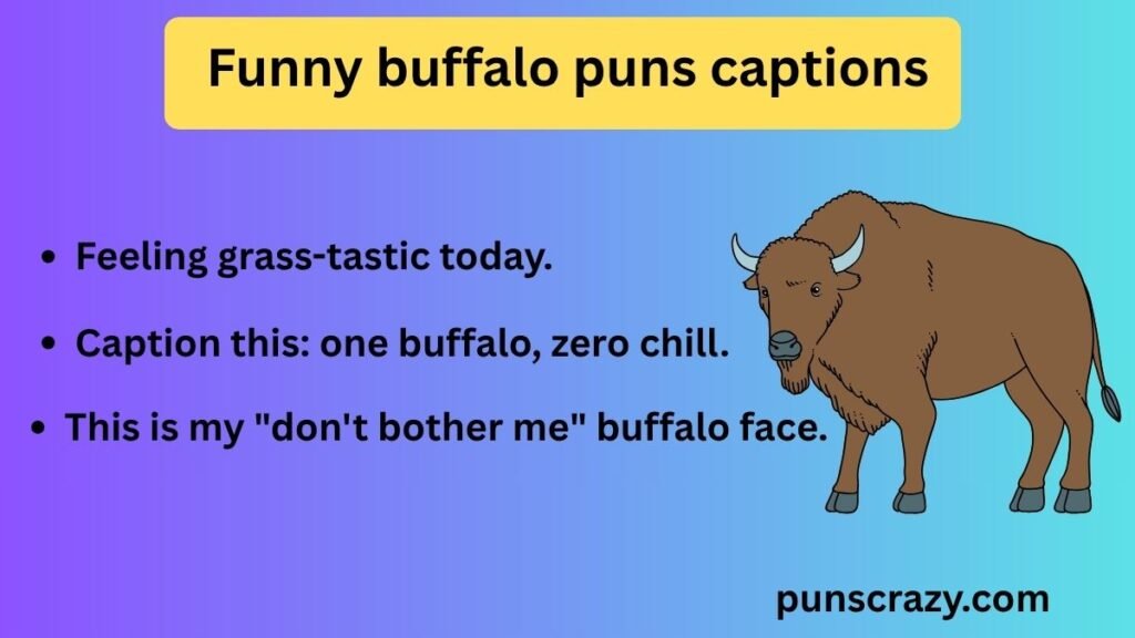 Funny buffalo puns captions