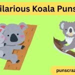 Hilarious Koala Puns