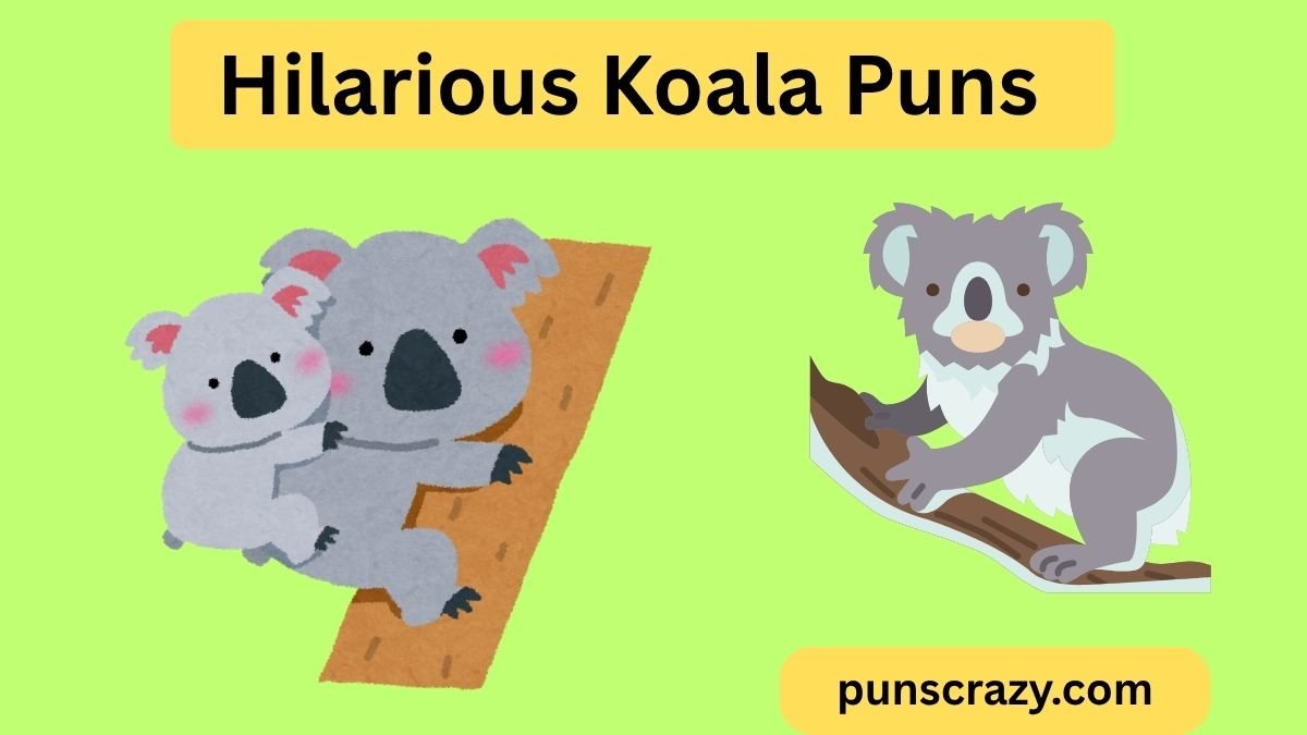 Hilarious Koala Puns