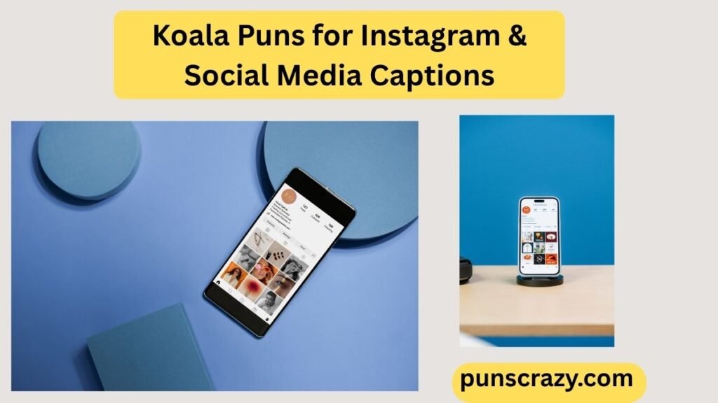 Koala Puns for Instagram & Social Media Captions