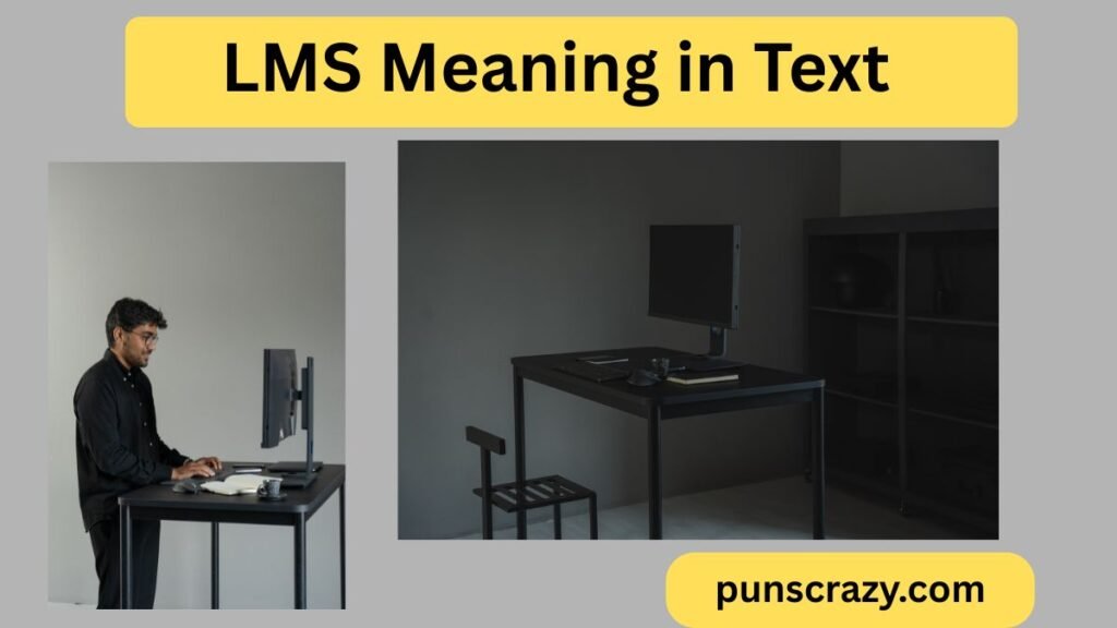LMS Meaning in Text