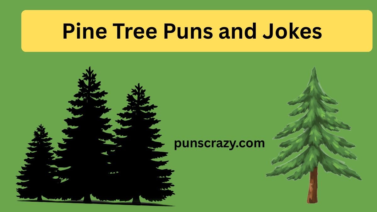 Pine Tree Puns and Jokes