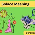 Solace Meaning