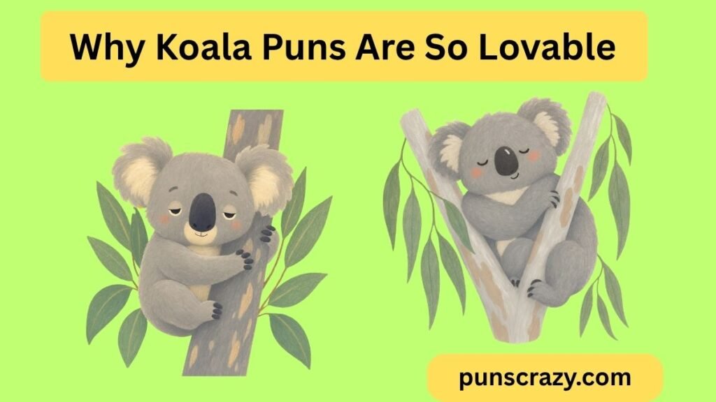 Why Koala Puns Are So Lovable