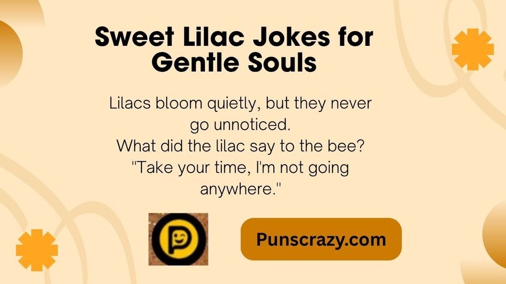Sweet Lilac Jokes for Gentle Souls
