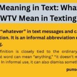 WTV Meaning in Text: What Does WTV Mean in Texting?